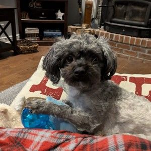 Meet your Posher, Kat